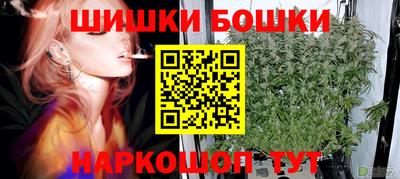 сатива Бузулук